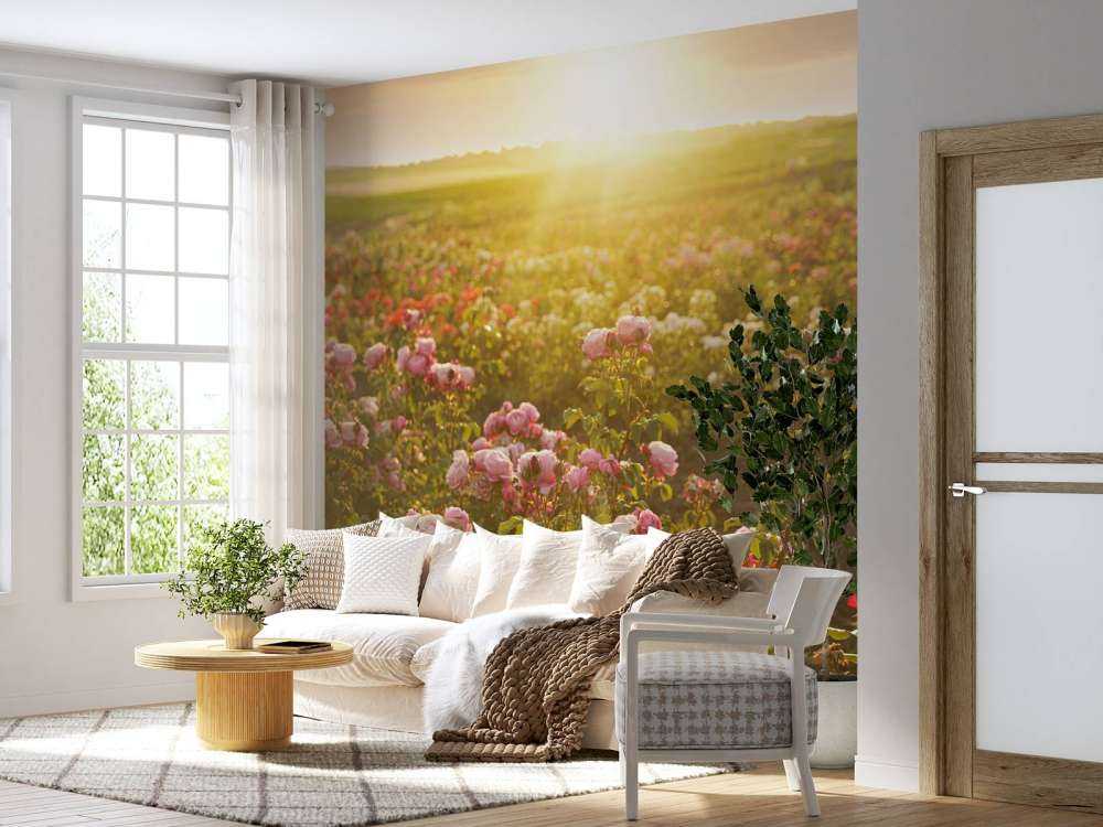 Campo de rosas
