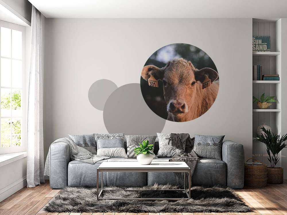 Primer plano de una vaca