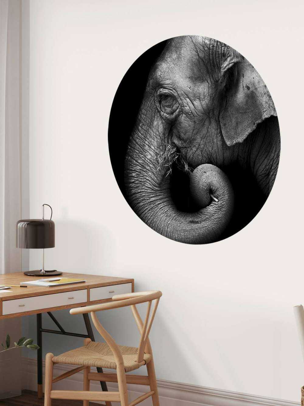 Retrato de elefante