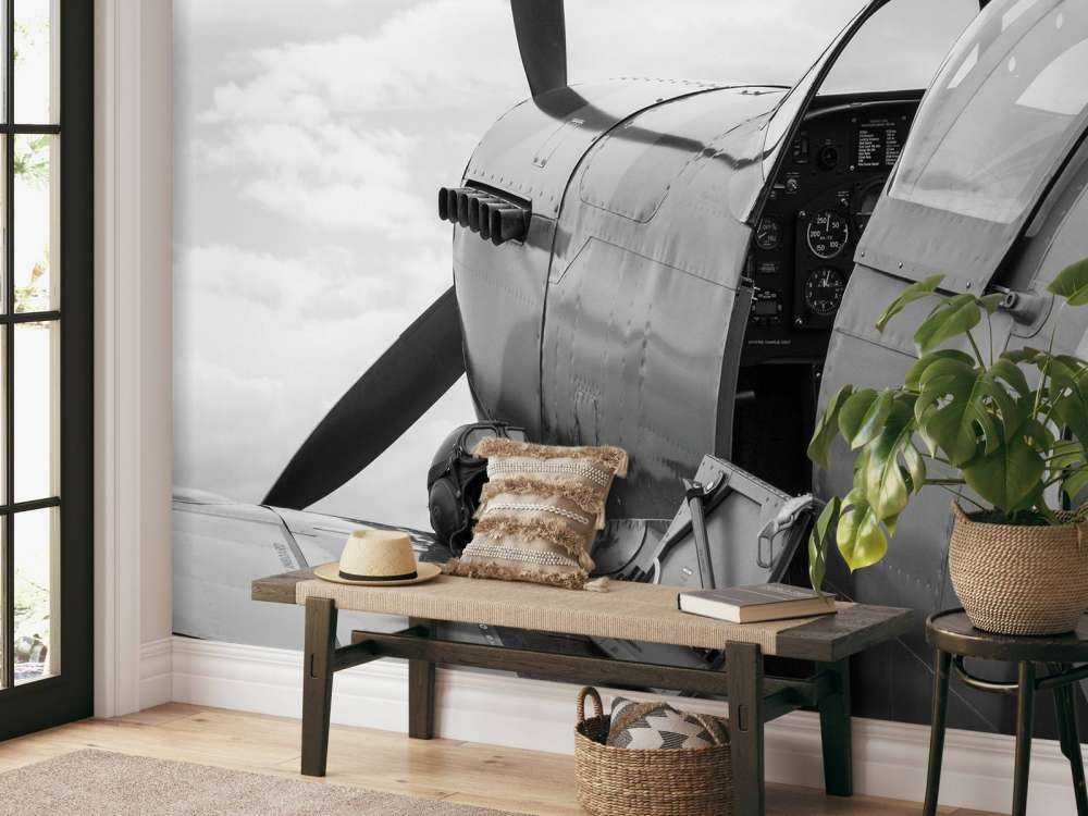 Antiguo avión de combate