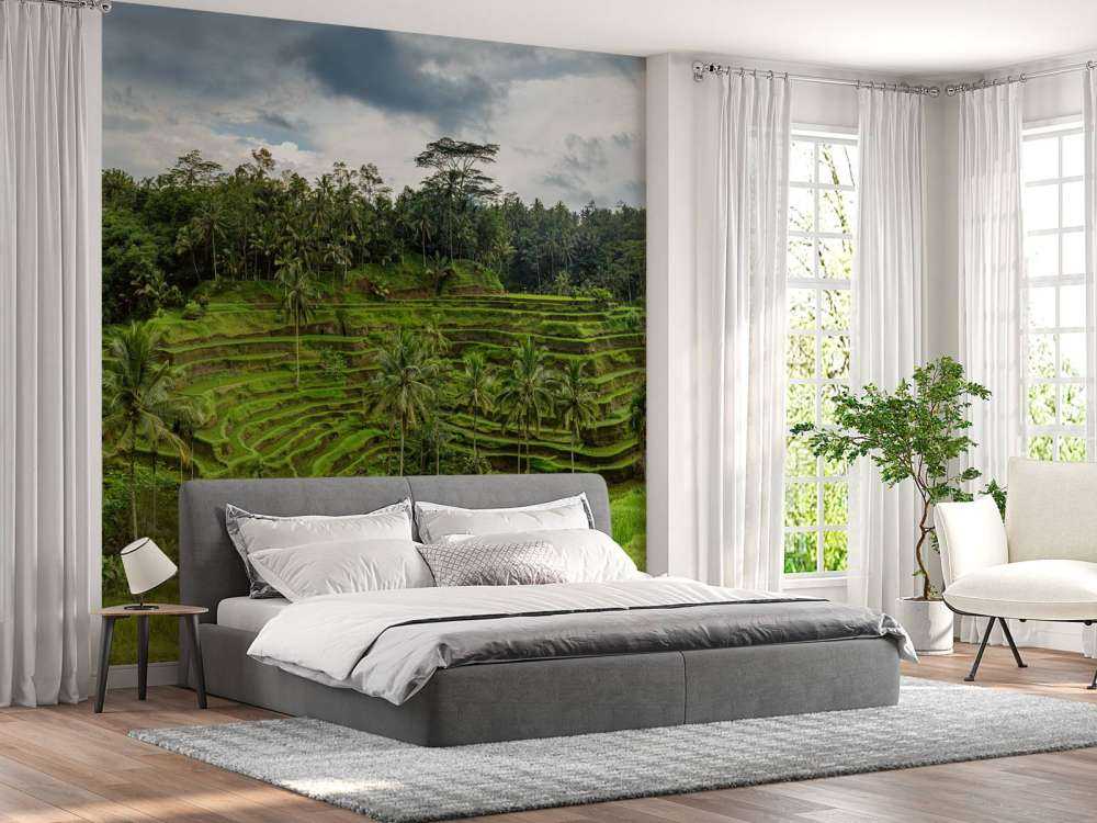 Campos de arroz tailandeses