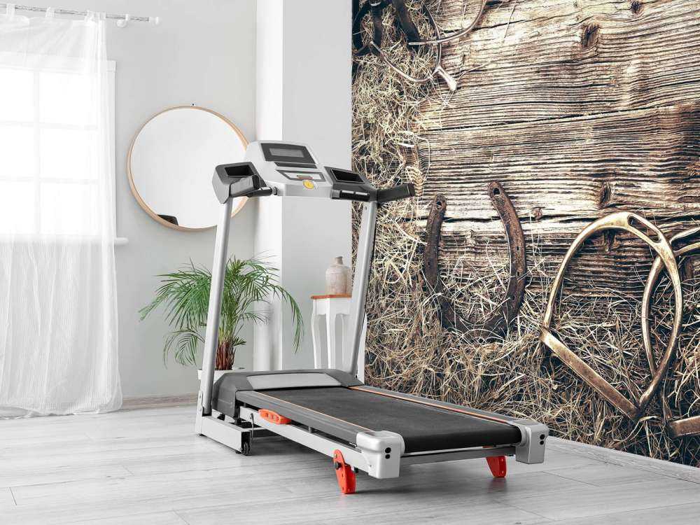 Equipamiento para caballos