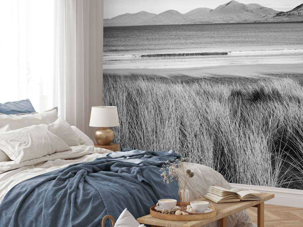 Marram grass, playa y montaña