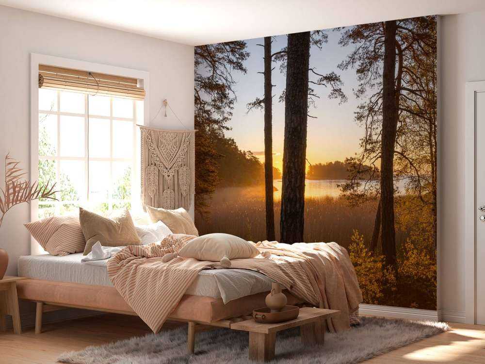 Bosque al atardecer