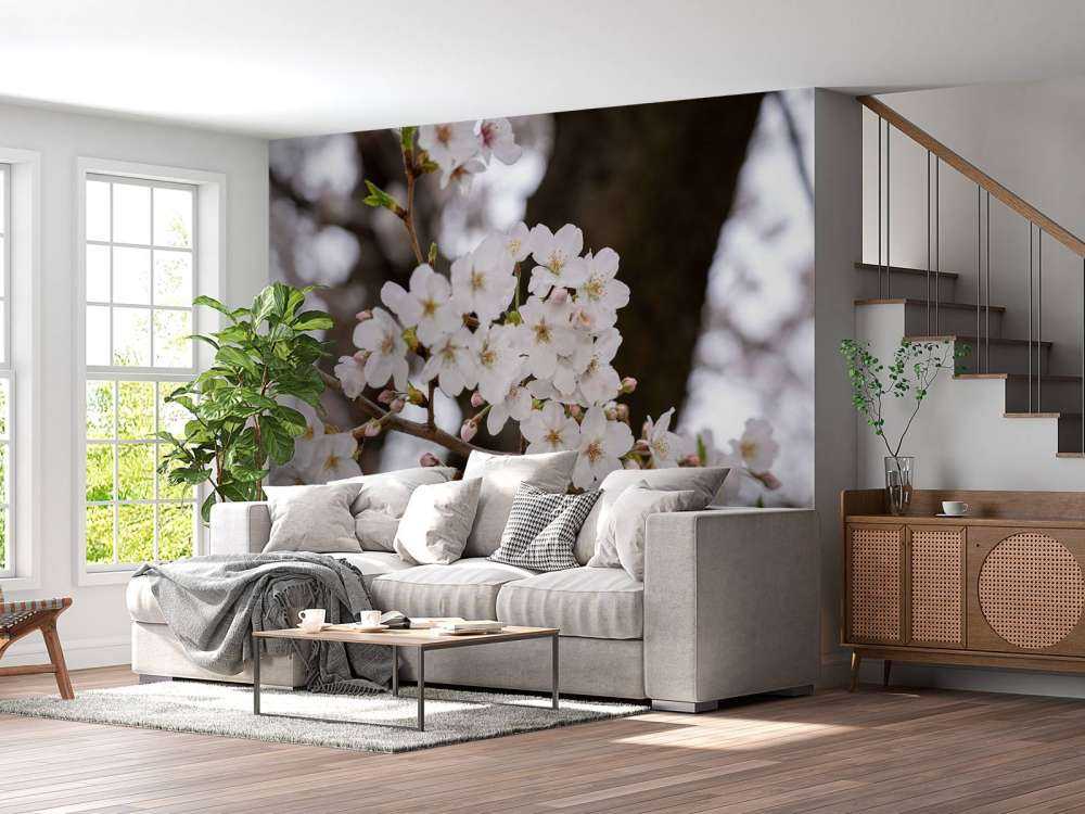 Flores blancas