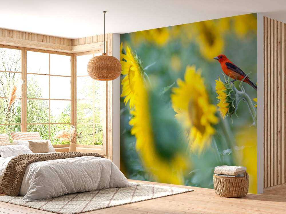 Campo de girasoles con pájaro rojo