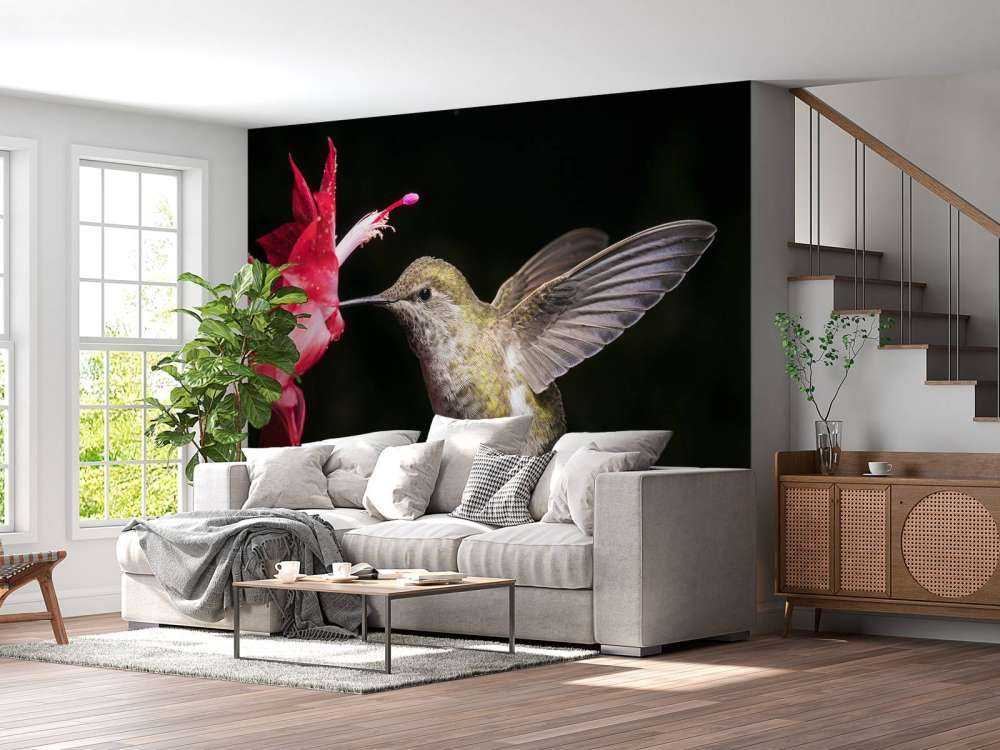 Colibrí con flor roja