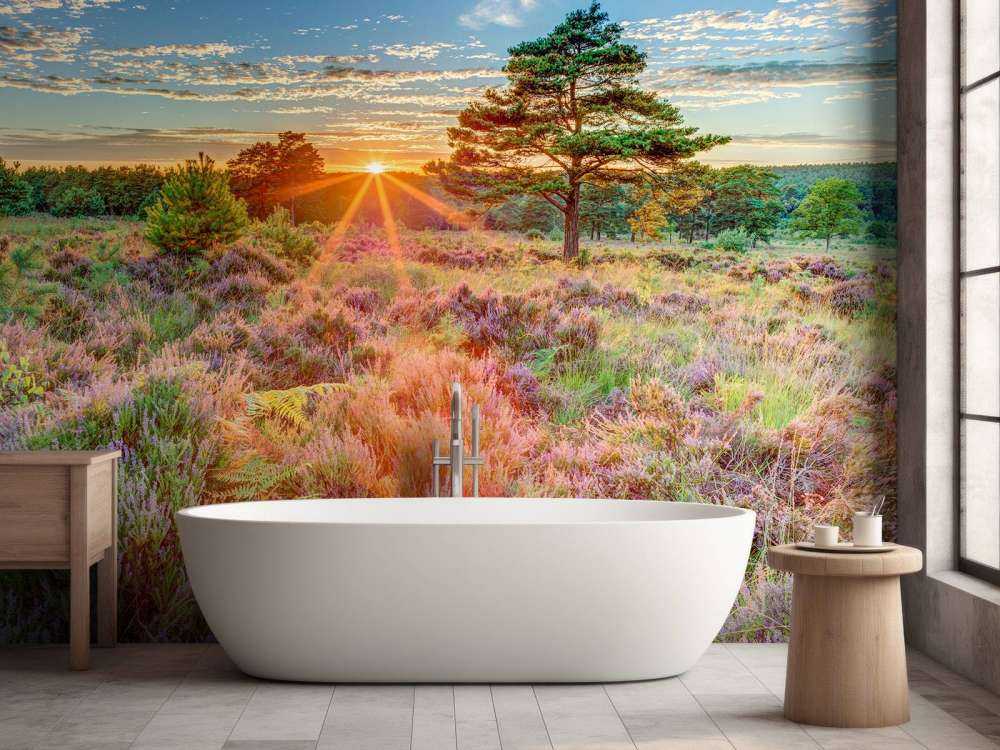 Puesta de sol en el campo