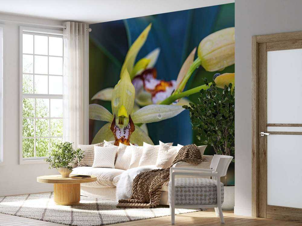 Orquídea amarilla salvaje