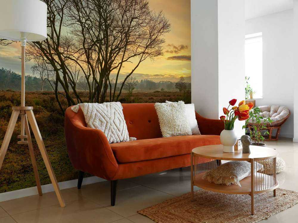 Amanecer en el páramo