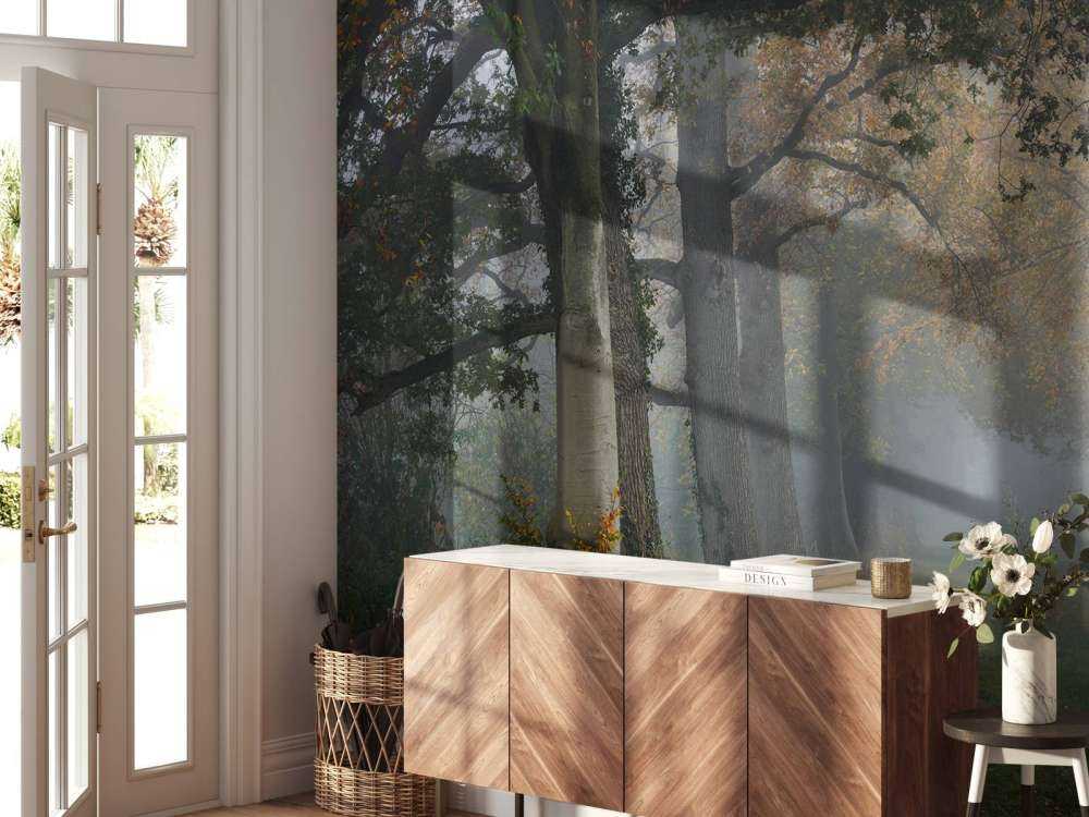 Carril con árboles en la niebla