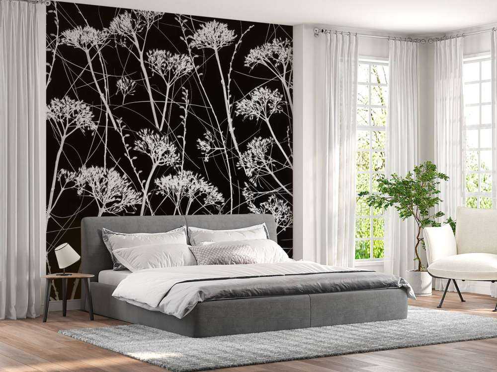 Silueta de plantas secas