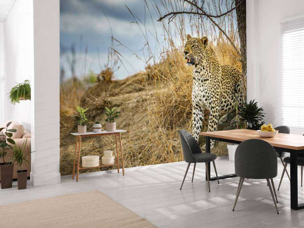 Leopardo al acecho
