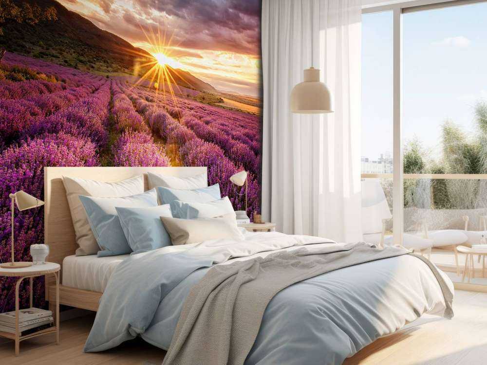 Lavanda al sol