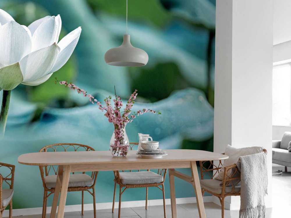 Flor de loto blanca