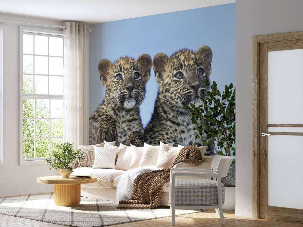 Pequeños leopardos
