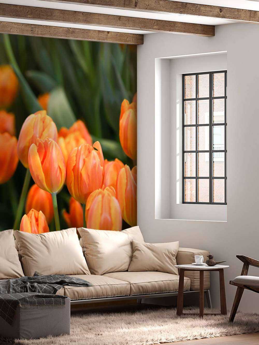 Tulipanes naranjas