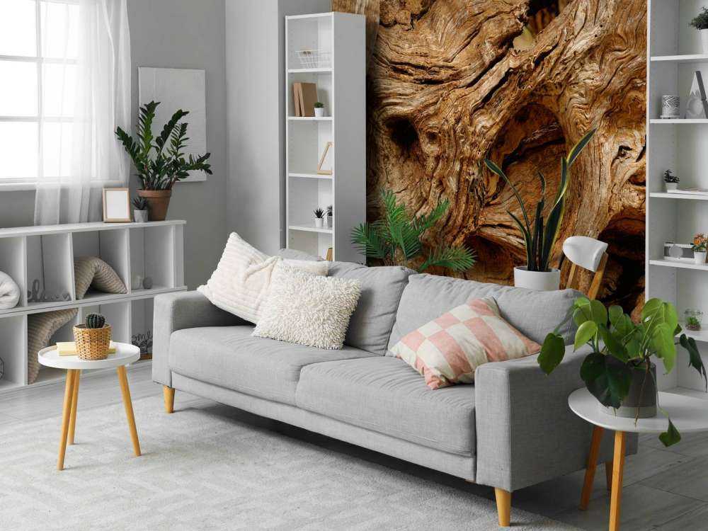 Primer plano de un árbol viejo