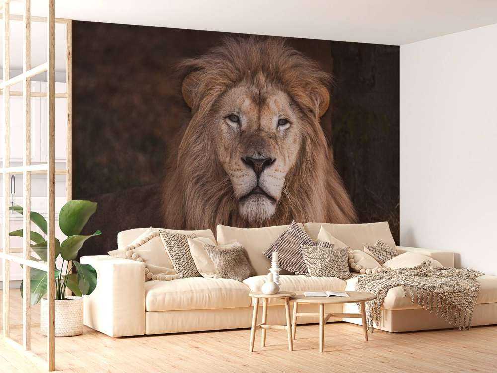 Retrato de un león