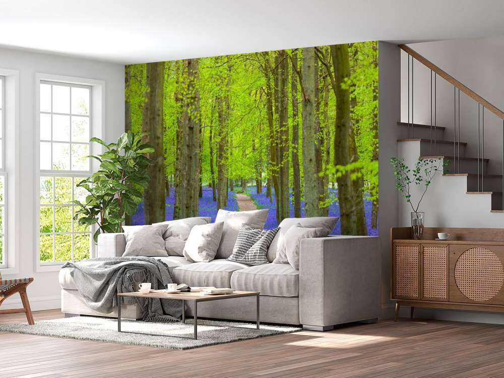 Sendero Bluebell