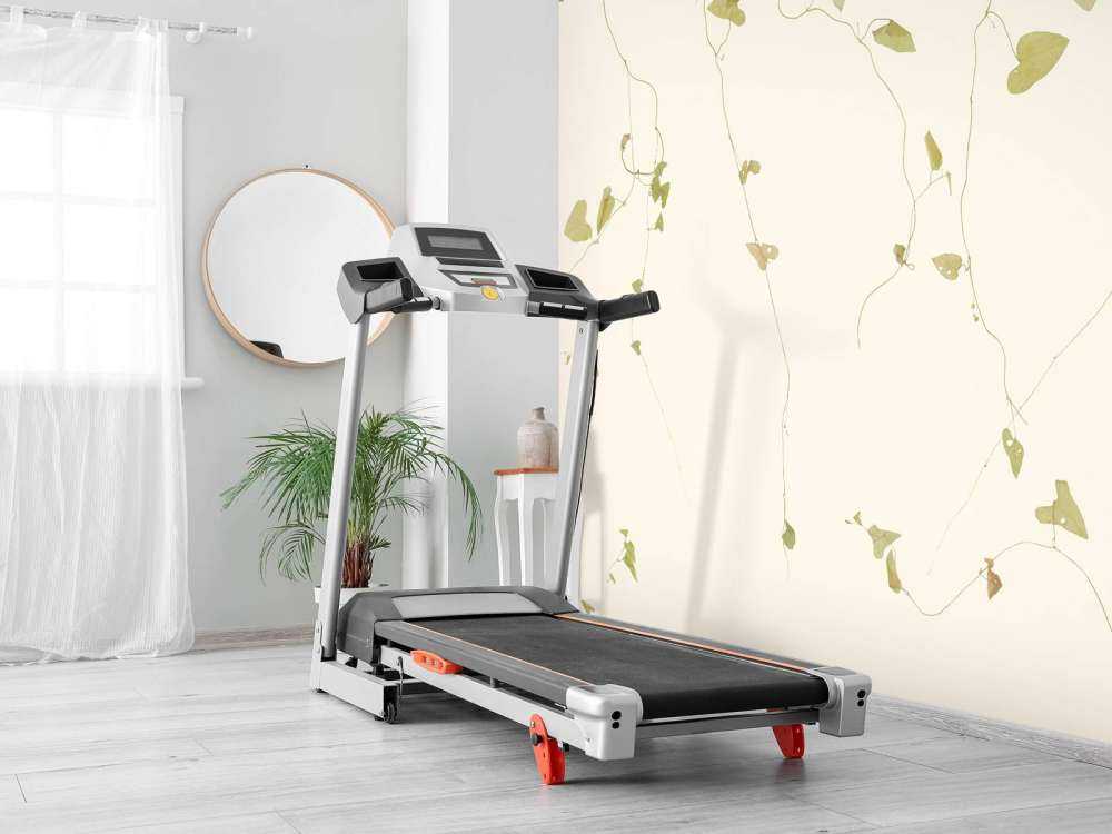 Enredadera gris beige