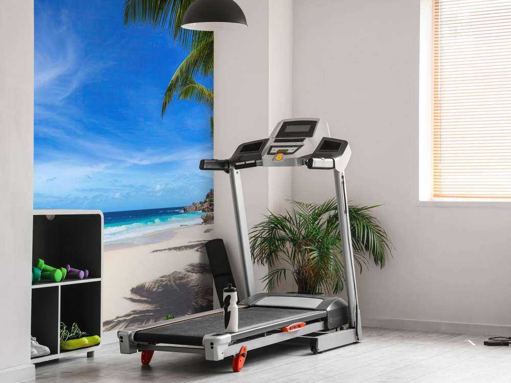 Playa tropical con palmera