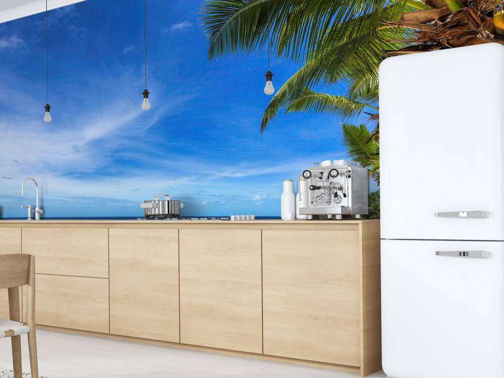 Playa tropical con palmera