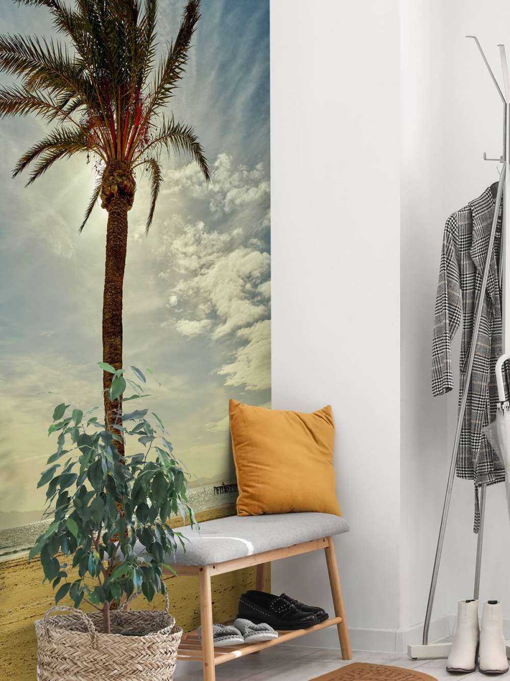 Palmera al sol