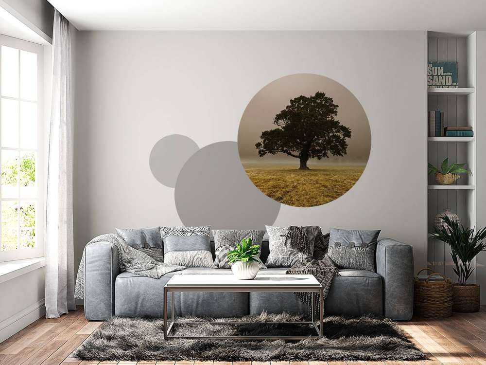 Árbol en la niebla