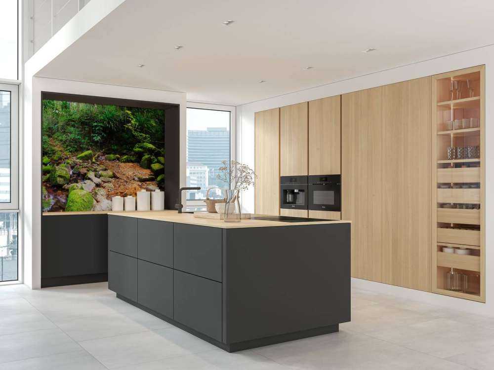 Selva tropical