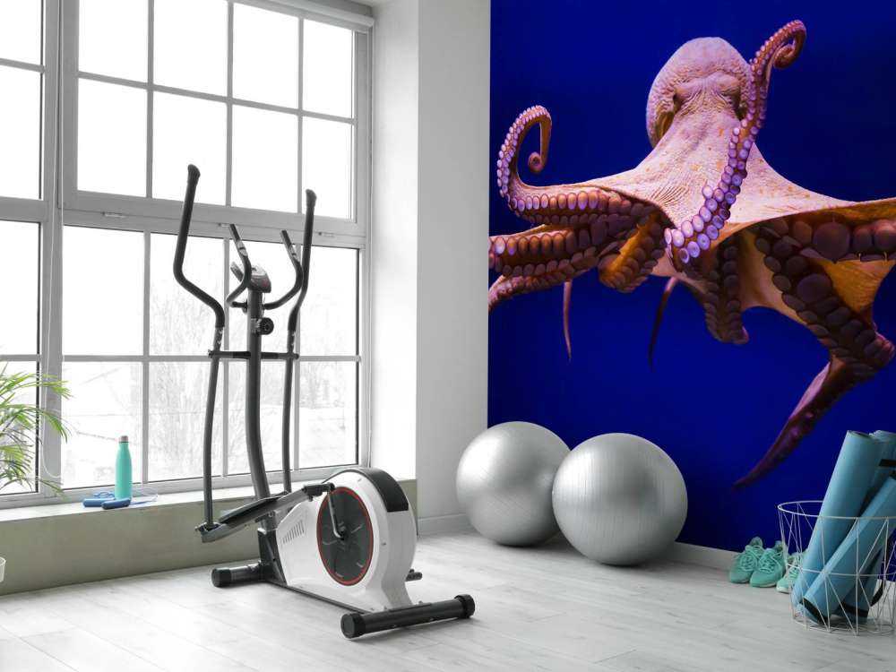 Pulpo
