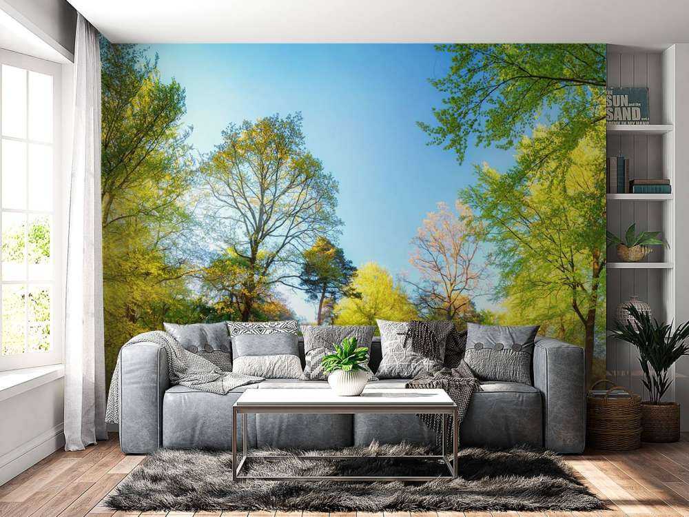 Paisaje de primavera