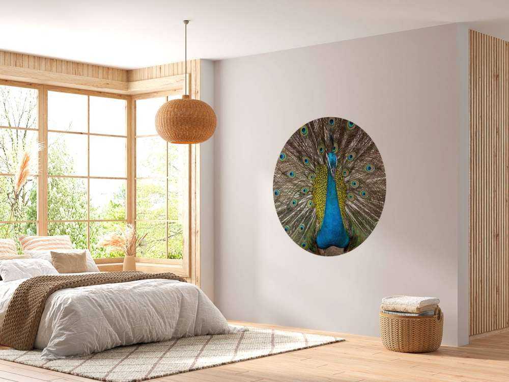 Pavo real con plumas exhibidas