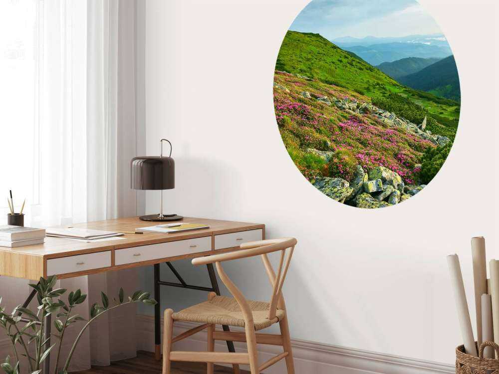 Rododendros en las montañas