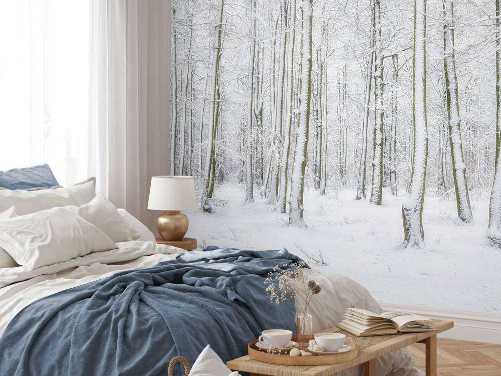 Bosque con nieve