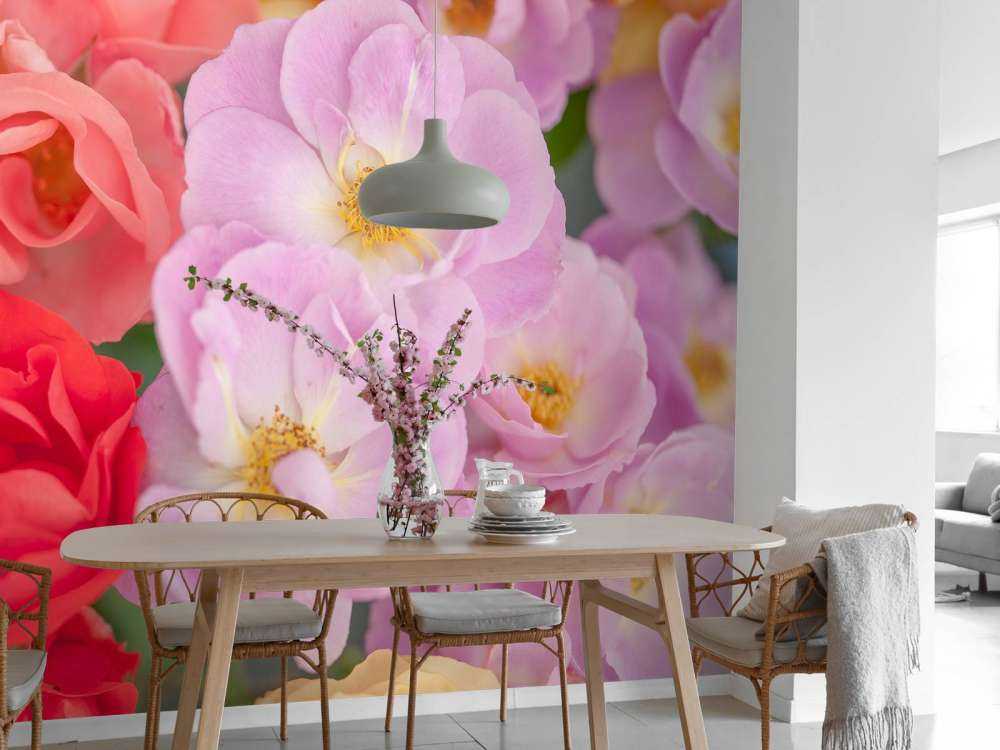 Flores de colores