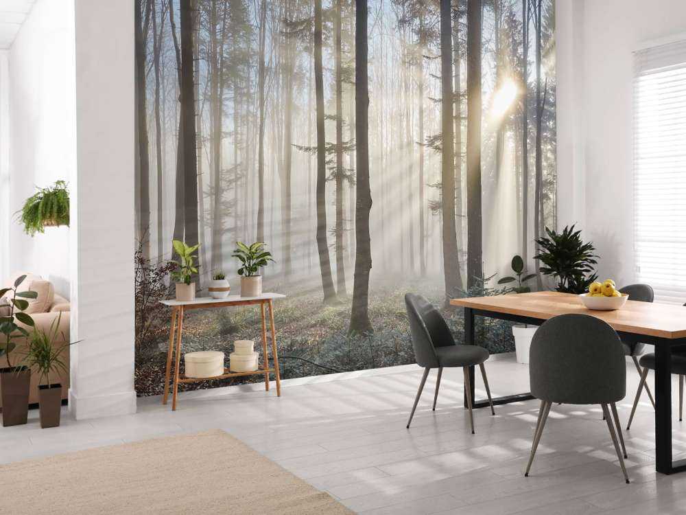Bosque nebuloso