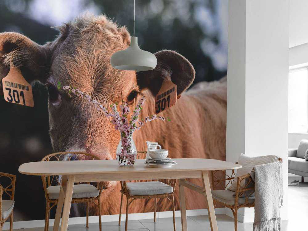 Primer plano de una vaca