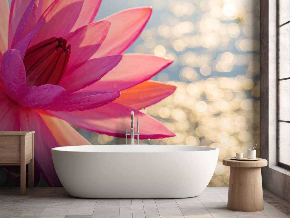 Flor de loto sobre el agua