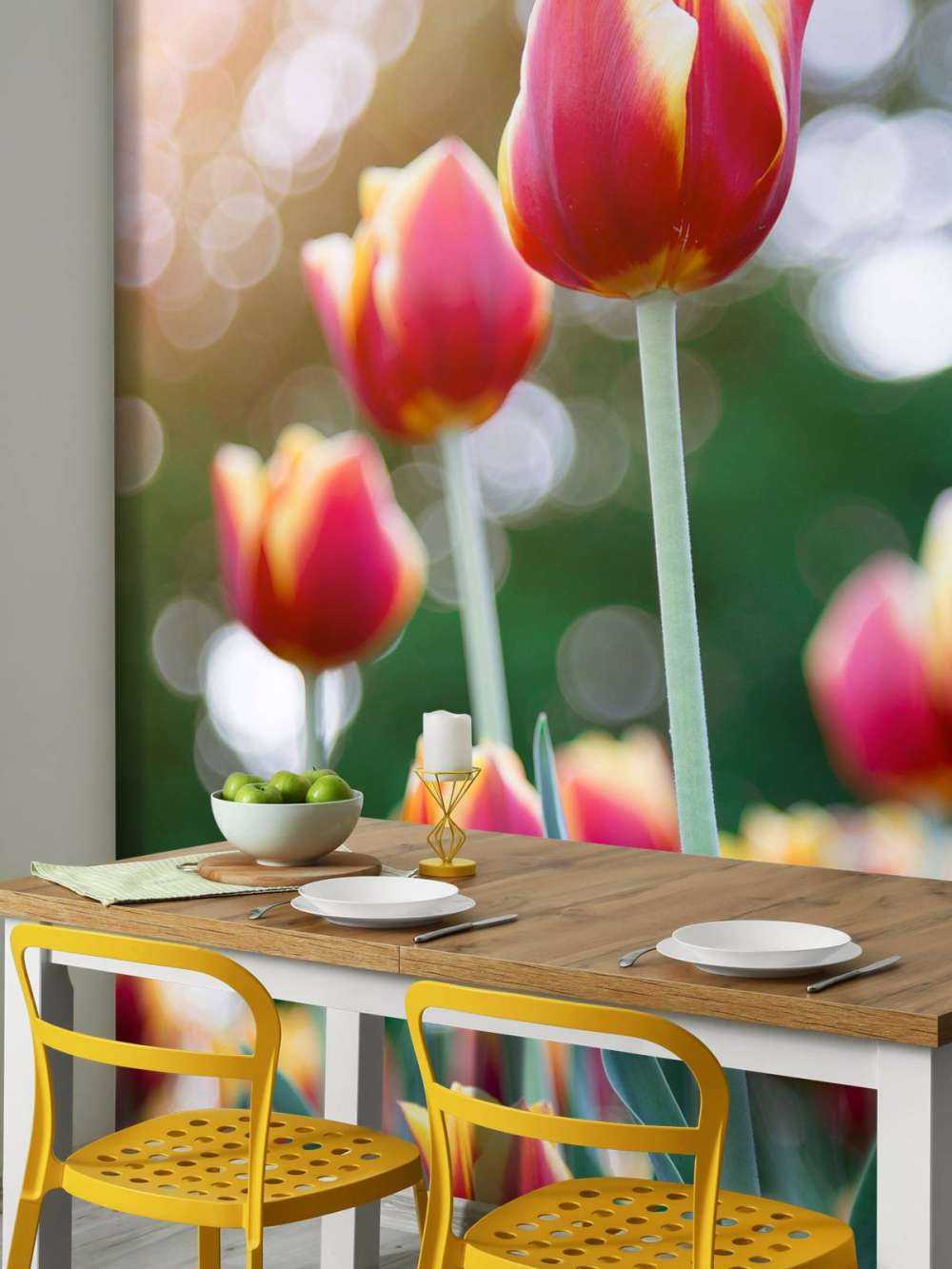 Tulipanes rojos y amarillos