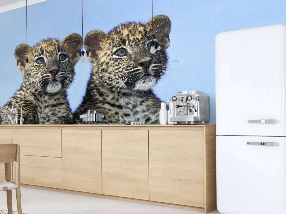 Pequeños leopardos
