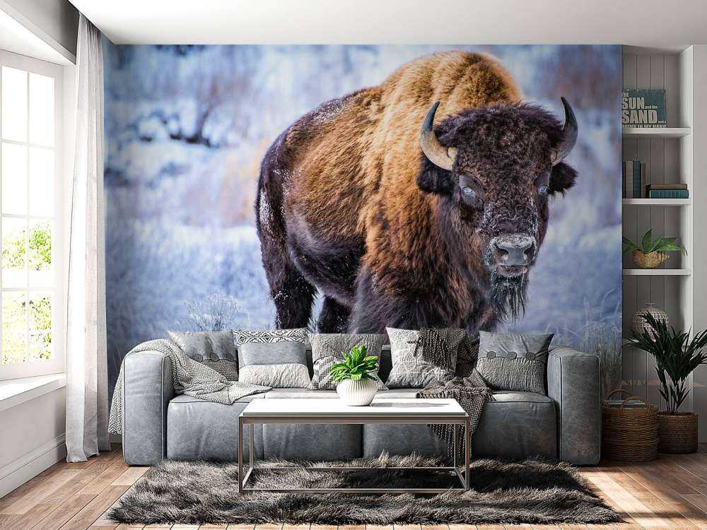 Bisonte