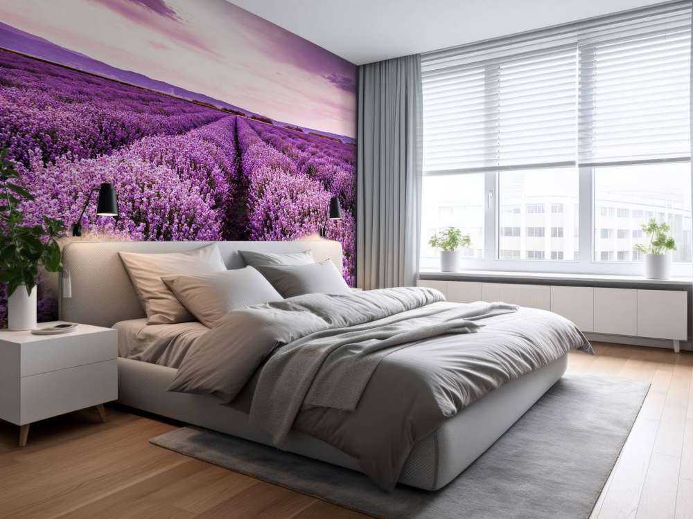 Arbustos de lavanda