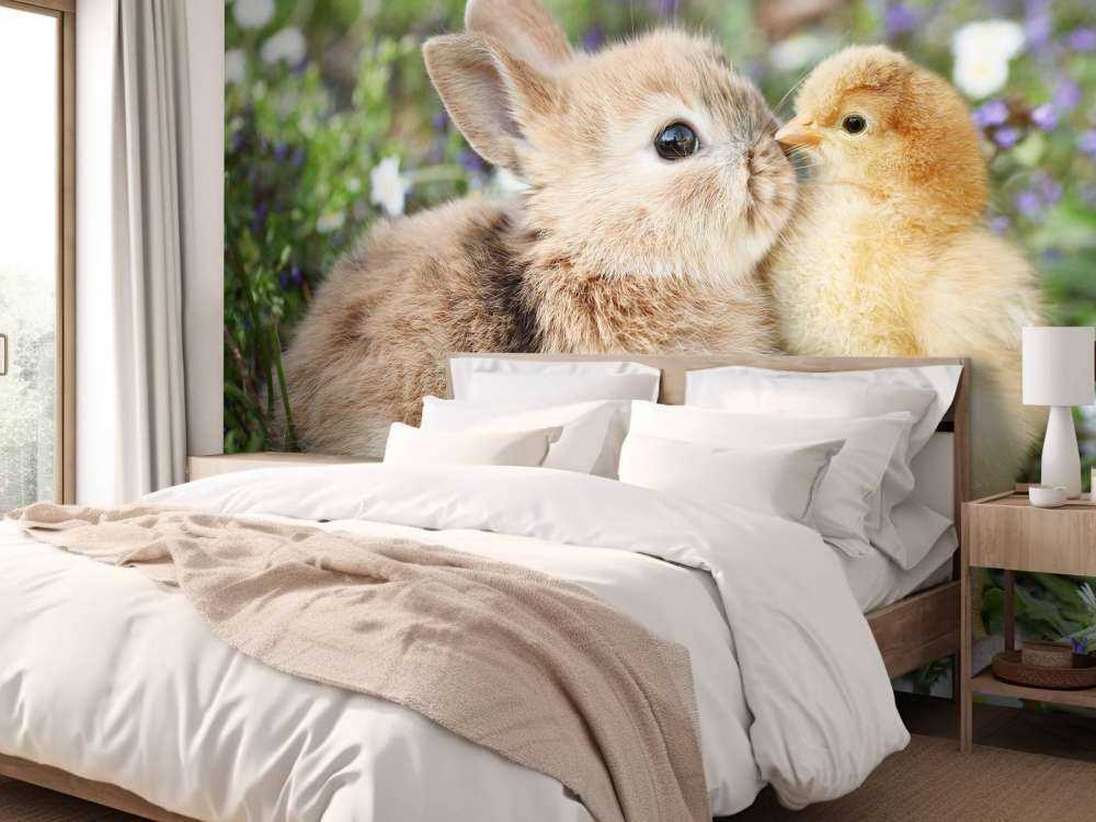 Conejo y pollito