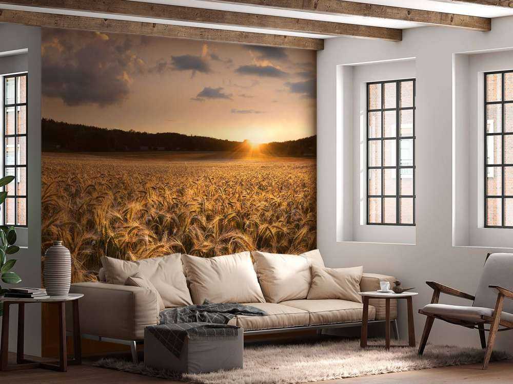 Campos de oro