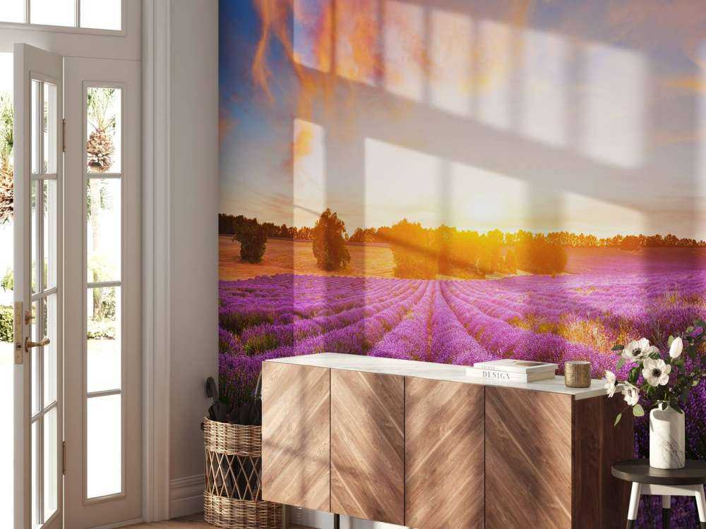 Campo de lavanda