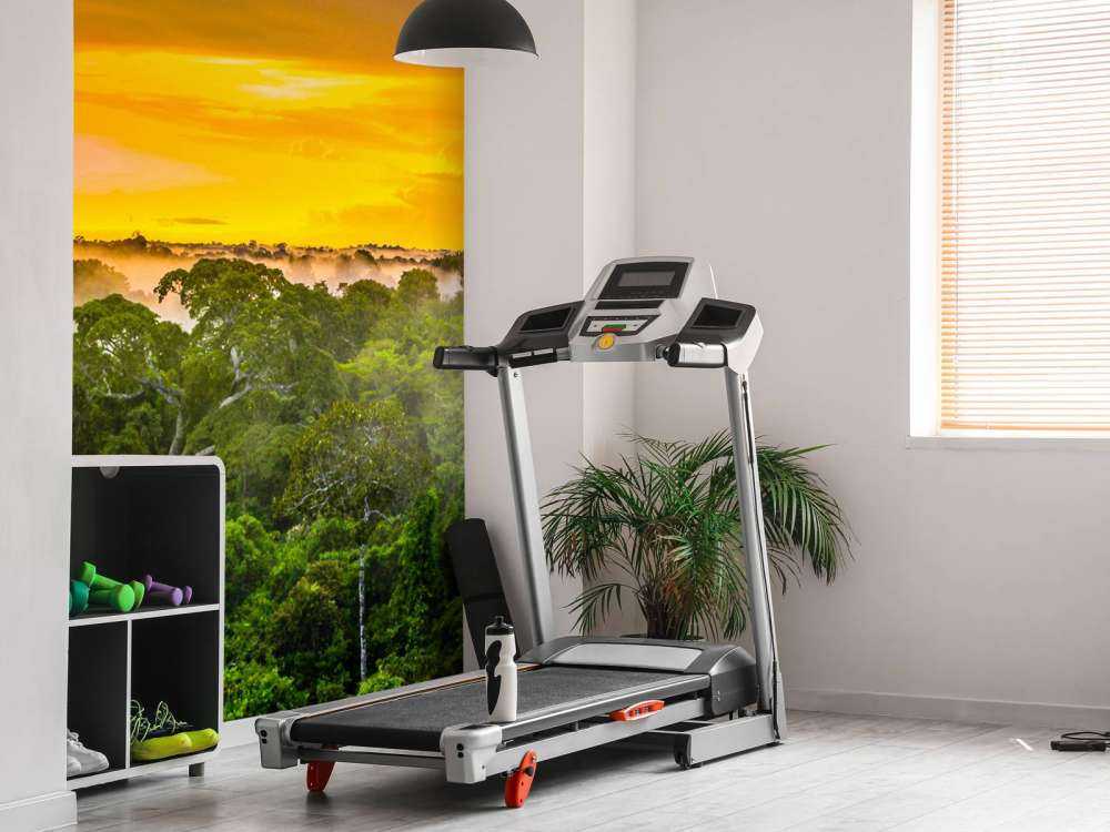 Selva tropical en Brasil
