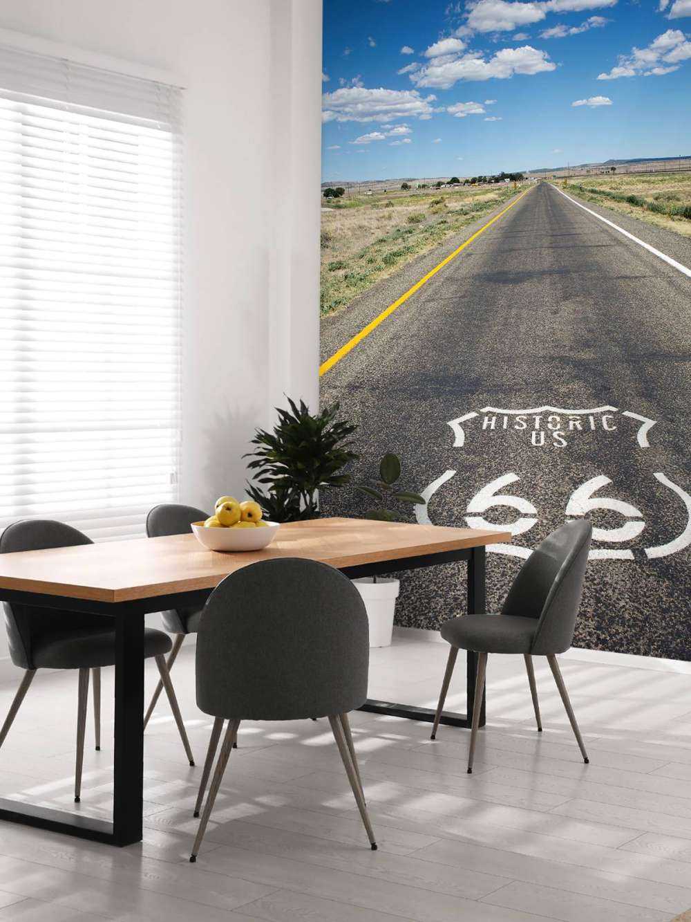 Ruta 66