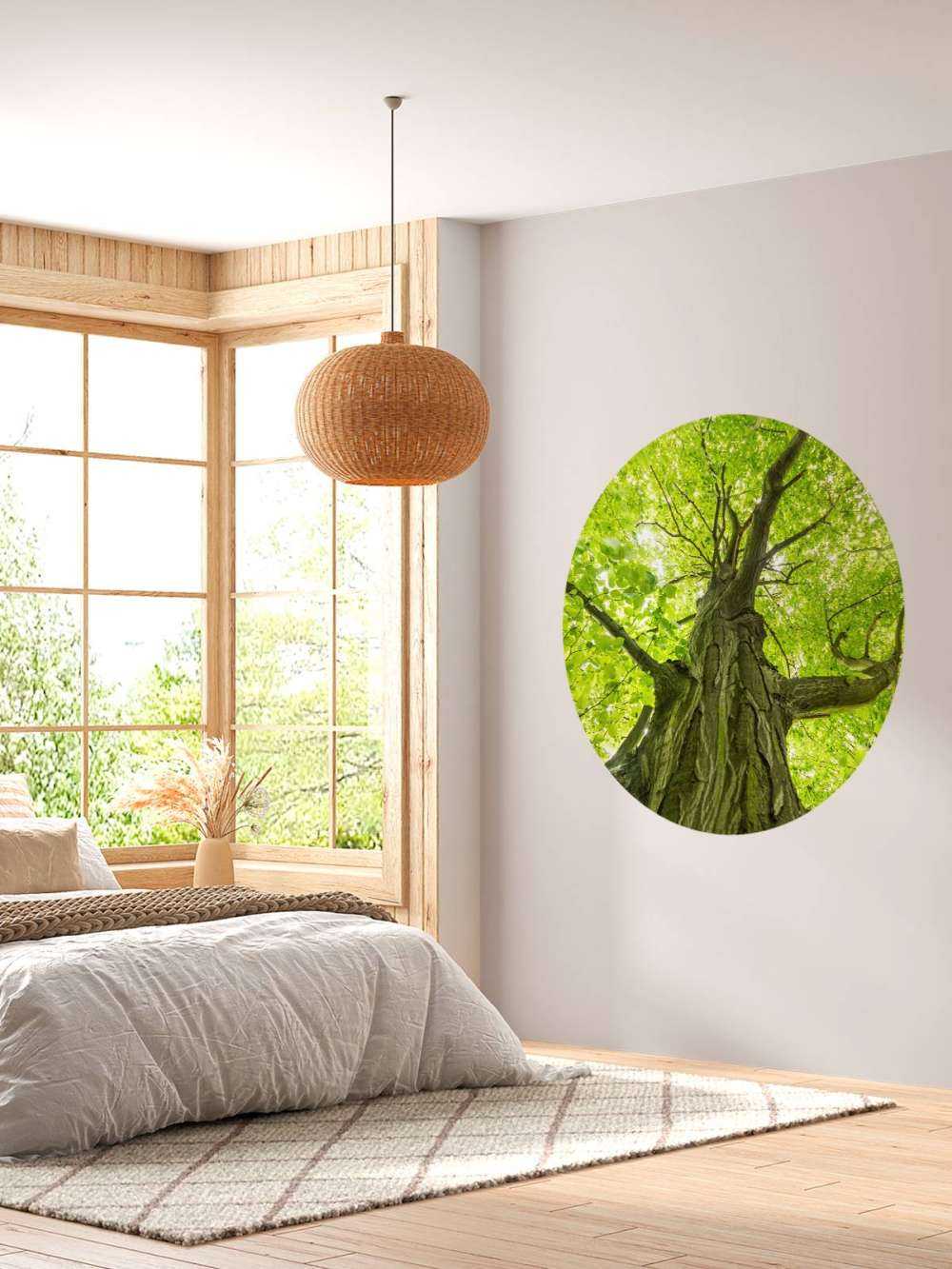 Gran árbol en el bosque