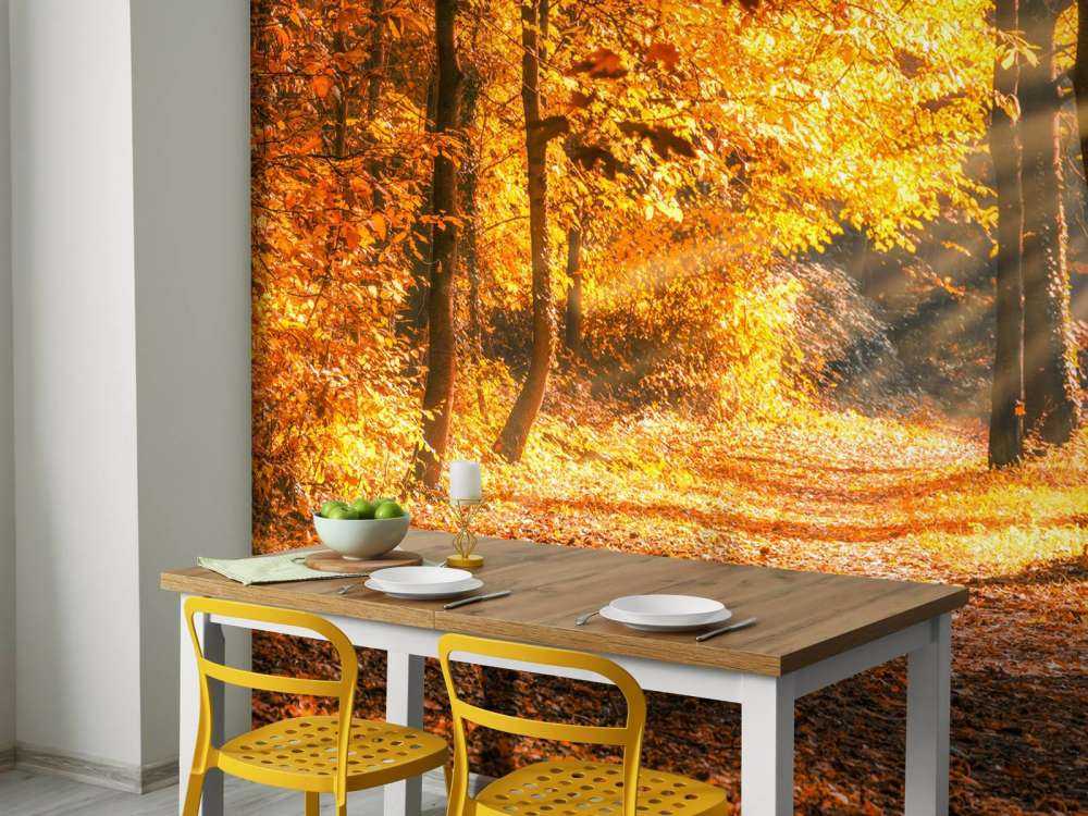Panorama en otoño